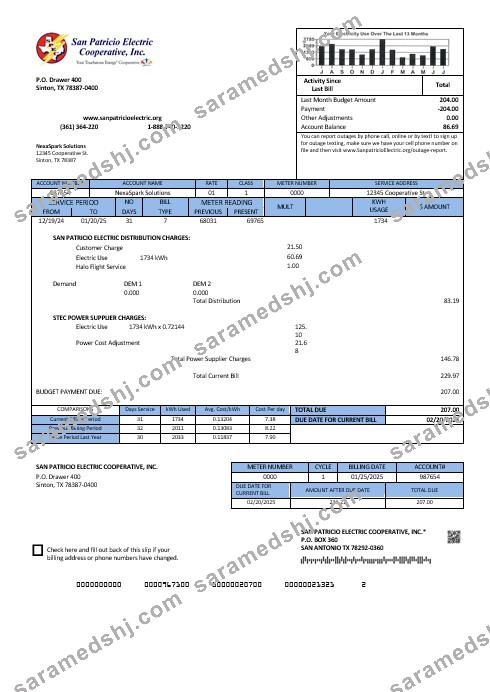 USA Texas San Patricio Electric Corporative business utility bill template in Word and PDF  formats
